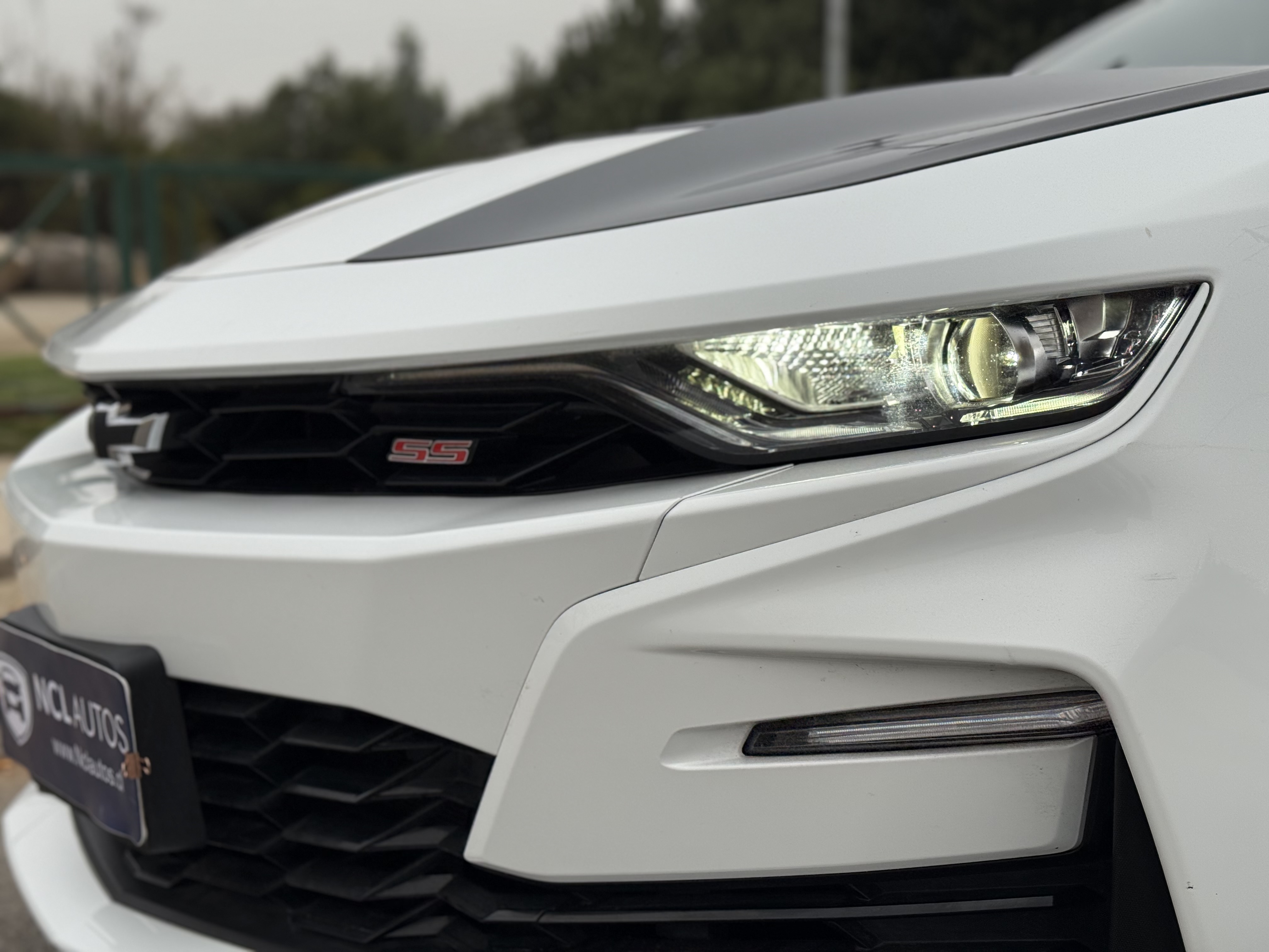 /uploads/vehicles/0cEHIEudj7EwM8iHp1xN/imagen_11.jpeg